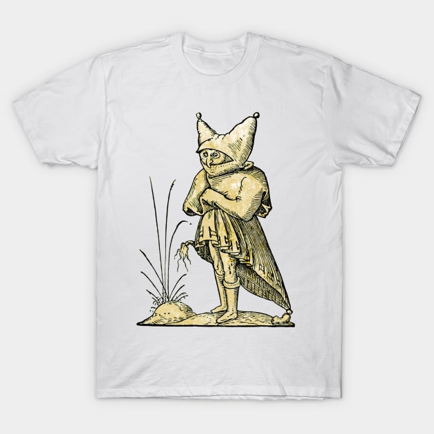 Wimple - The Drolatic Dreams of Pantagruel T-Shirt by The Blue Box